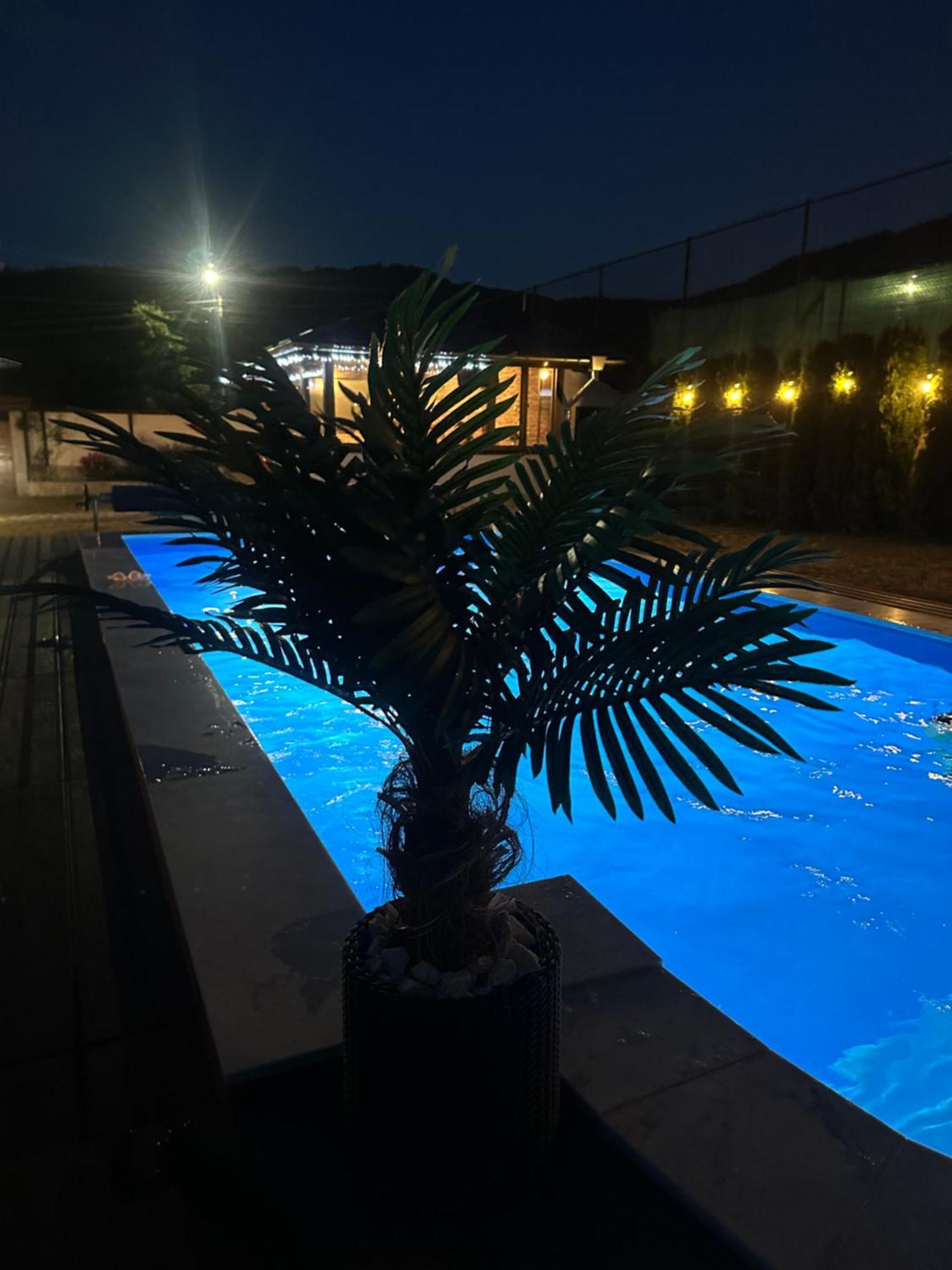 Villa Paradise Beli Iskar Exterior photo